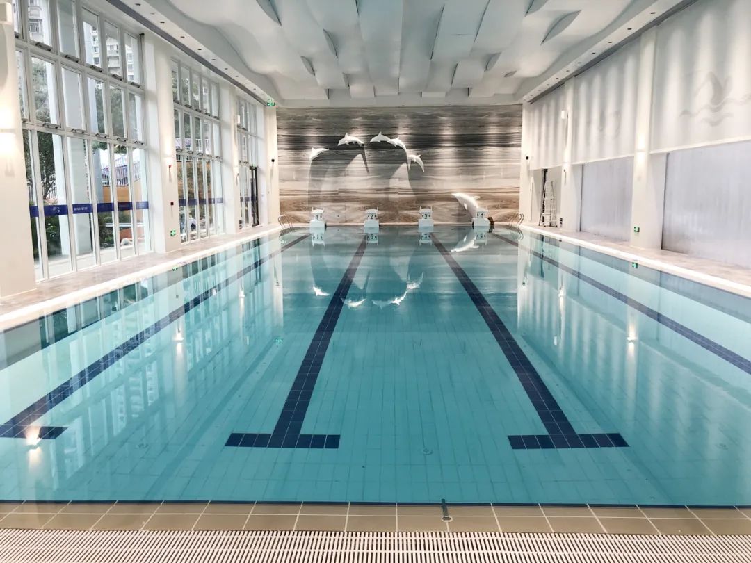 室內(nèi)游泳池專用除濕機,游泳池除濕機,室內(nèi)恒溫游泳池